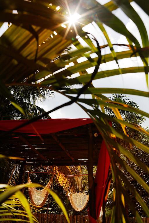 Casa Selva De Luz Daire Tulum Dış mekan fotoğraf