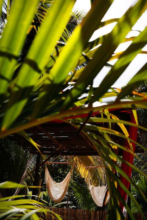 Casa Selva De Luz Daire Tulum Dış mekan fotoğraf