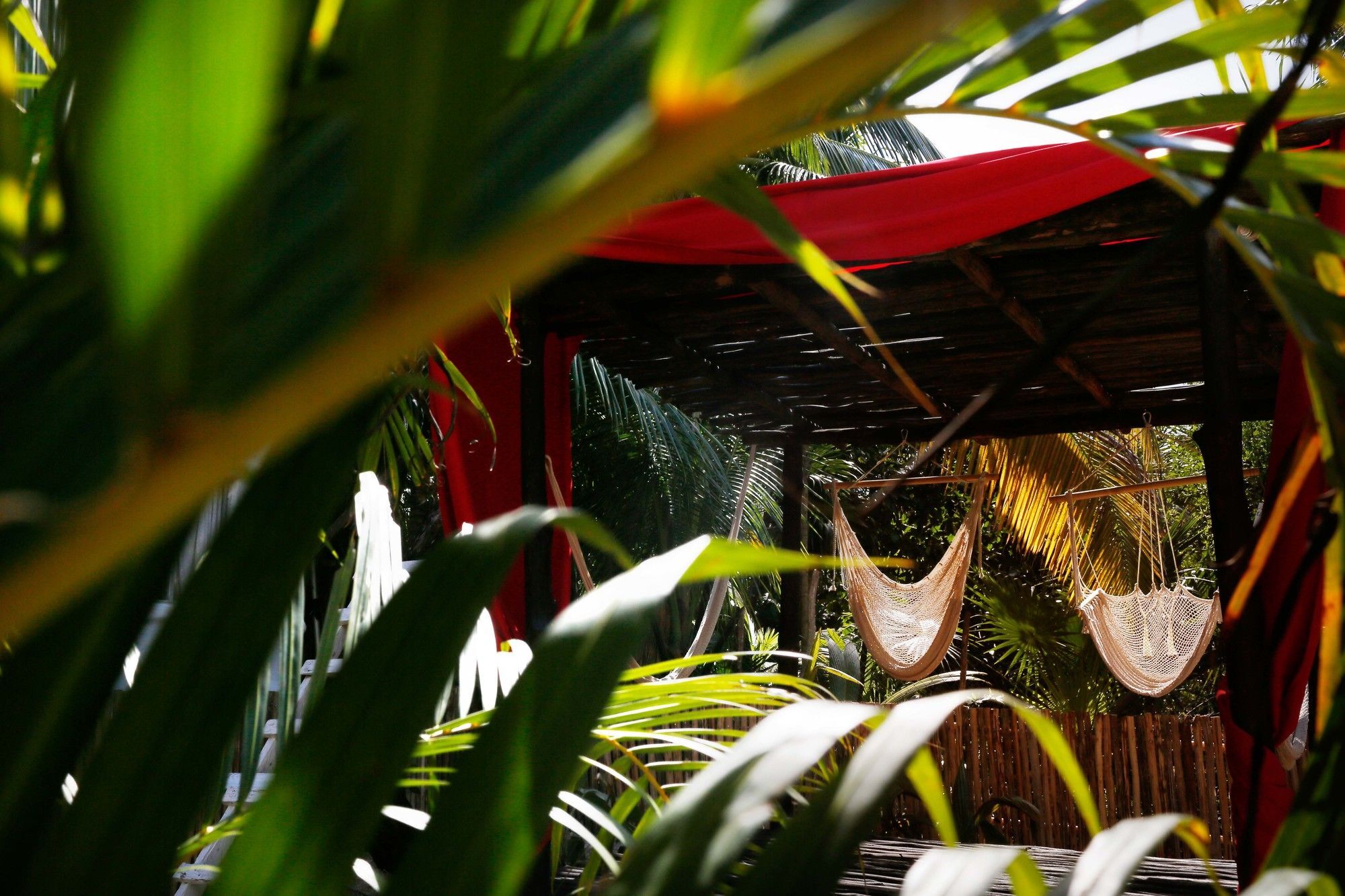 Casa Selva De Luz Daire Tulum Dış mekan fotoğraf