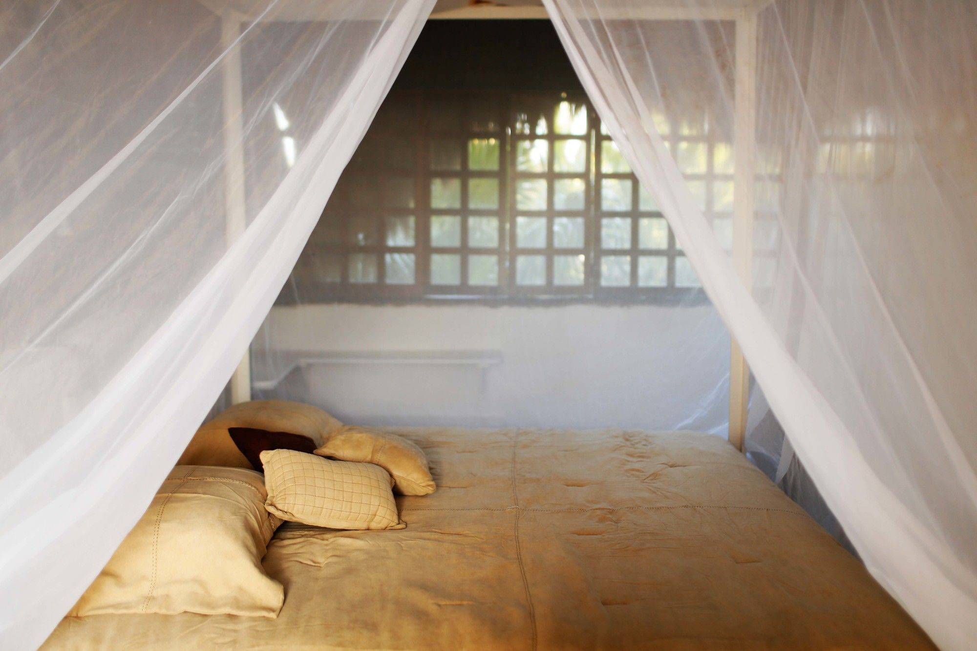 Casa Selva De Luz Daire Tulum Dış mekan fotoğraf